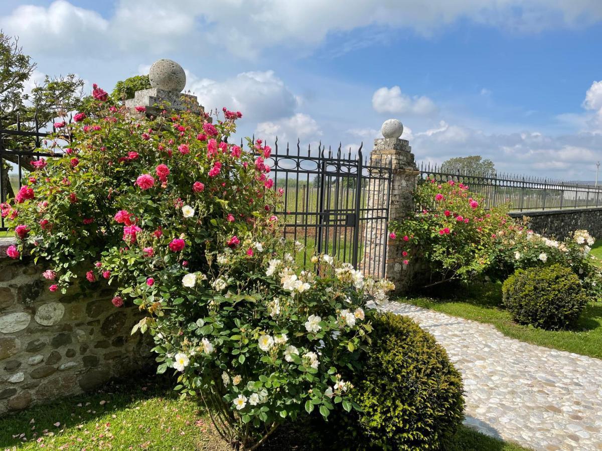 Villa Minini Bed & Breakfast Rive d'Arcano エクステリア 写真